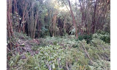 Parcela en Chonchi - Oportunidad de Inversión