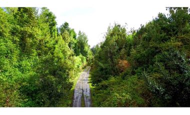 Parcela en Chonchi - Oportunidad de Inversión