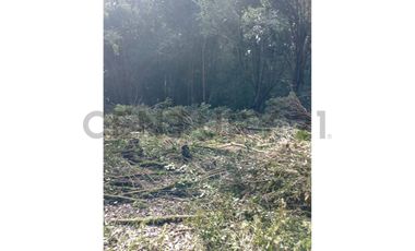 Parcela en Chonchi - Oportunidad de Inversión