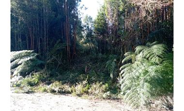 Parcela en Chonchi - Oportunidad de Inversión