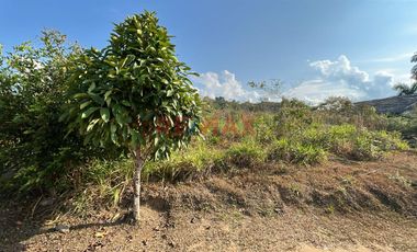 En Venta!! Lote En Exclusivo Resort Yanashpa – Tarapoto, San Martín