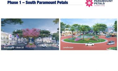 RUMAH DI PARAMOUNT PETALS TYPE ASTER 6X10 HOOK