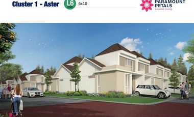 RUMAH DI PARAMOUNT PETALS TYPE ASTER 6X10 HOOK