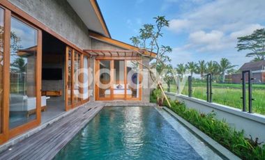 VILLA NEW TROPICAL MODERN MINIMALIS DI LODTUNDUH UBUD GIANYAR, BALI