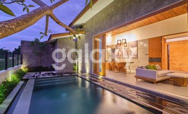 VILLA NEW TROPICAL MODERN MINIMALIS DI LODTUNDUH UBUD GIANYAR, BALI