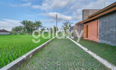 VILLA NEW TROPICAL MODERN MINIMALIS DI LODTUNDUH UBUD GIANYAR, BALI