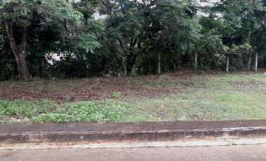 CORNER LOT 197 SQM Subdivision Lot for Sale Greenwoods near Talamban Cebu City with Discounts for Spot down