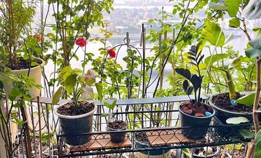 2 bed Condo in The Pano Yan Nawa District C019284