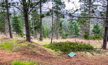 Sitio en venta en Loteo Alto Boyeruca, Boyeruca