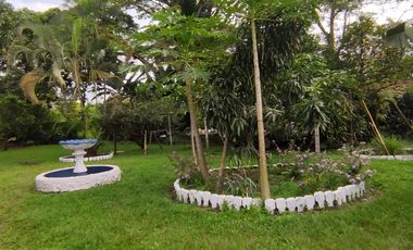FINCA  SAN RAFAEL CAUCA