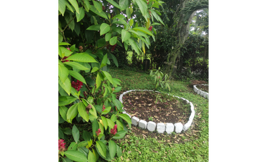 FINCA  SAN RAFAEL CAUCA