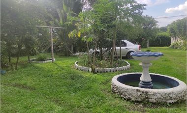 FINCA  SAN RAFAEL CAUCA
