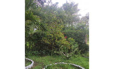 FINCA  SAN RAFAEL CAUCA