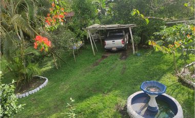 FINCA  SAN RAFAEL CAUCA