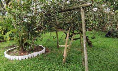 FINCA  SAN RAFAEL CAUCA