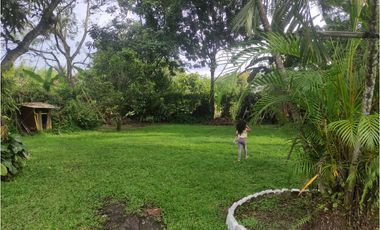 FINCA  SAN RAFAEL CAUCA