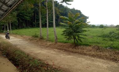 Tanah Murah Dan Luas Strategis Di Cikalong Wetan Bandung Barat