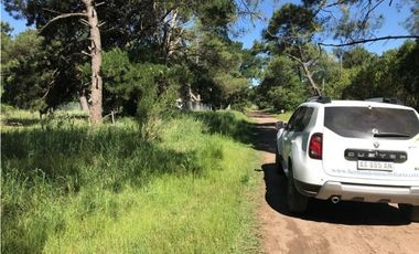 Terreno de 15mt frente por 30 mt de fondo 161bis y 58
