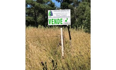 Terreno de 15mt frente por 30 mt de fondo 161bis y 58