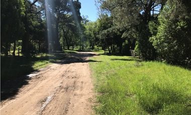 Terreno de 15mt frente por 30 mt de fondo 161bis y 58