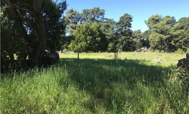 Terreno de 15mt frente por 30 mt de fondo 161bis y 58