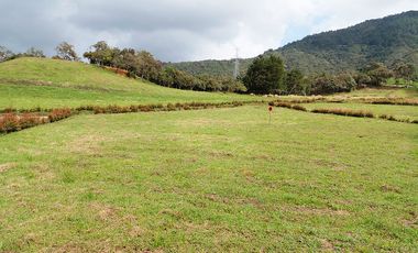 PR14529 Venta de lote en el sector Vereda El Cerro
