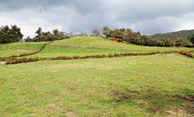 PR14529 Venta de lote en el sector Vereda El Cerro