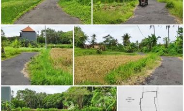 Tanah dijual di Bali, Gianyar