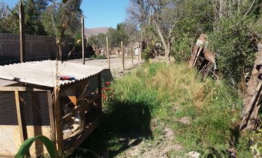 Casa en Venta en Casa con amplio terreno en Avenida Los Carrera.