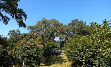 Excelente casa de descanso con el mejor clima de Cuernavaca (Monte Casino)