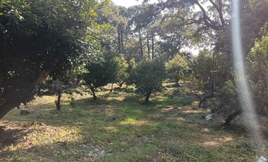 Excelente casa de descanso con el mejor clima de Cuernavaca (Monte Casino)