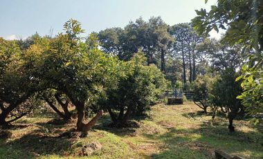 Excelente casa de descanso con el mejor clima de Cuernavaca (Monte Casino)