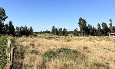 Parcela en Venta en Hermosa parcela en Ñuble Alto, Sector Parque Lantaño