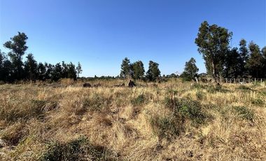 Parcela en Venta en Hermosa parcela en Ñuble Alto, Sector Parque Lantaño
