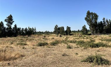 Parcela en Venta en Hermosa parcela en Ñuble Alto, Sector Parque Lantaño