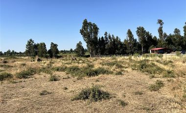 Parcela en Venta en Hermosa parcela en Ñuble Alto, Sector Parque Lantaño