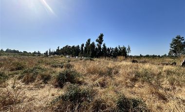 Parcela en Venta en Hermosa parcela en Ñuble Alto, Sector Parque Lantaño