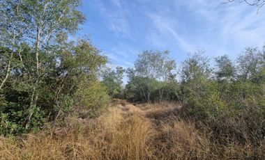 Terreno de 20 hectáreas camino al Barrancón