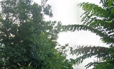 DIJUAL RUMAH USAHA KOTA LAMONGAN