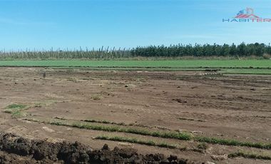 Sitio en Venta en Ruta 5 sur cruce Morza