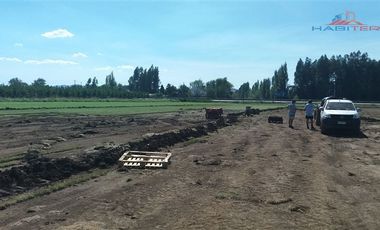Sitio en Venta en Ruta 5 sur cruce Morza