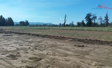 Sitio en Venta en Ruta 5 sur cruce Morza