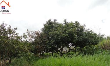 Venta de casa con terreno en Bellavista de San Antonio en Ibarra