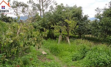 Venta de casa con terreno en Bellavista de San Antonio en Ibarra