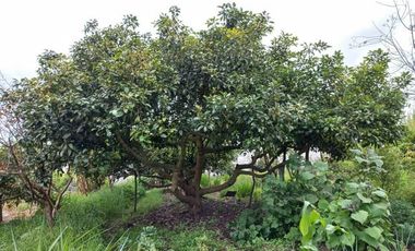 Venta de casa con terreno en Bellavista de San Antonio en Ibarra