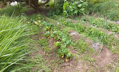 Venta de casa con terreno en Bellavista de San Antonio en Ibarra