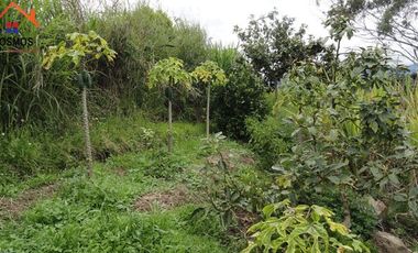 Venta de casa con terreno en Bellavista de San Antonio en Ibarra