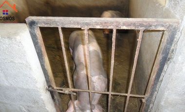 Venta de casa con terreno en Bellavista de San Antonio en Ibarra