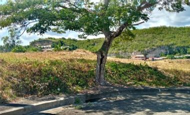 Most Affordable 133 Sqm Lot for Sale in Consolacion Cebu with Overlooking Seaview