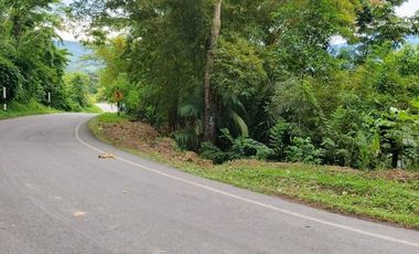 A un paso de Tarapoto, pero inmerso en la tranquilidad de la naturaleza, 1.36 hectáreas a pie de carretera.